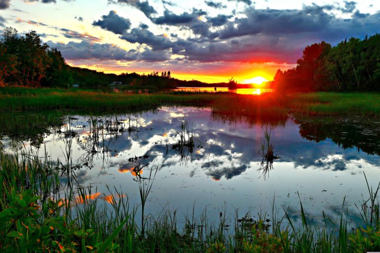 Biodiversity In Mining - Australian Mining Review