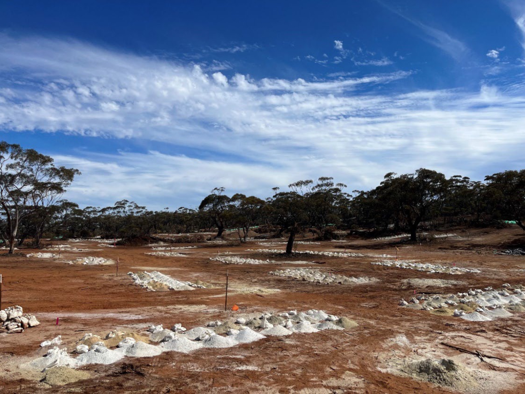 (Image source : Widgie Nickel.) Drilling at Faraday with white sample piles representing the pegmatite host.
