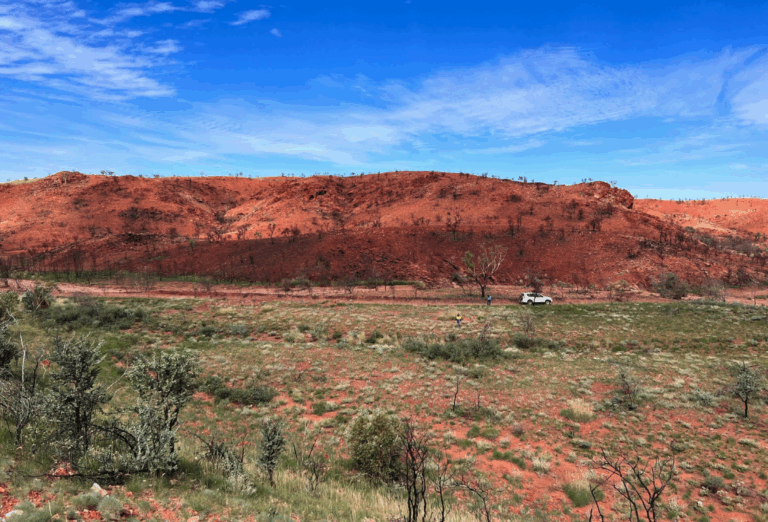 Metals grove - Australian Mining Review