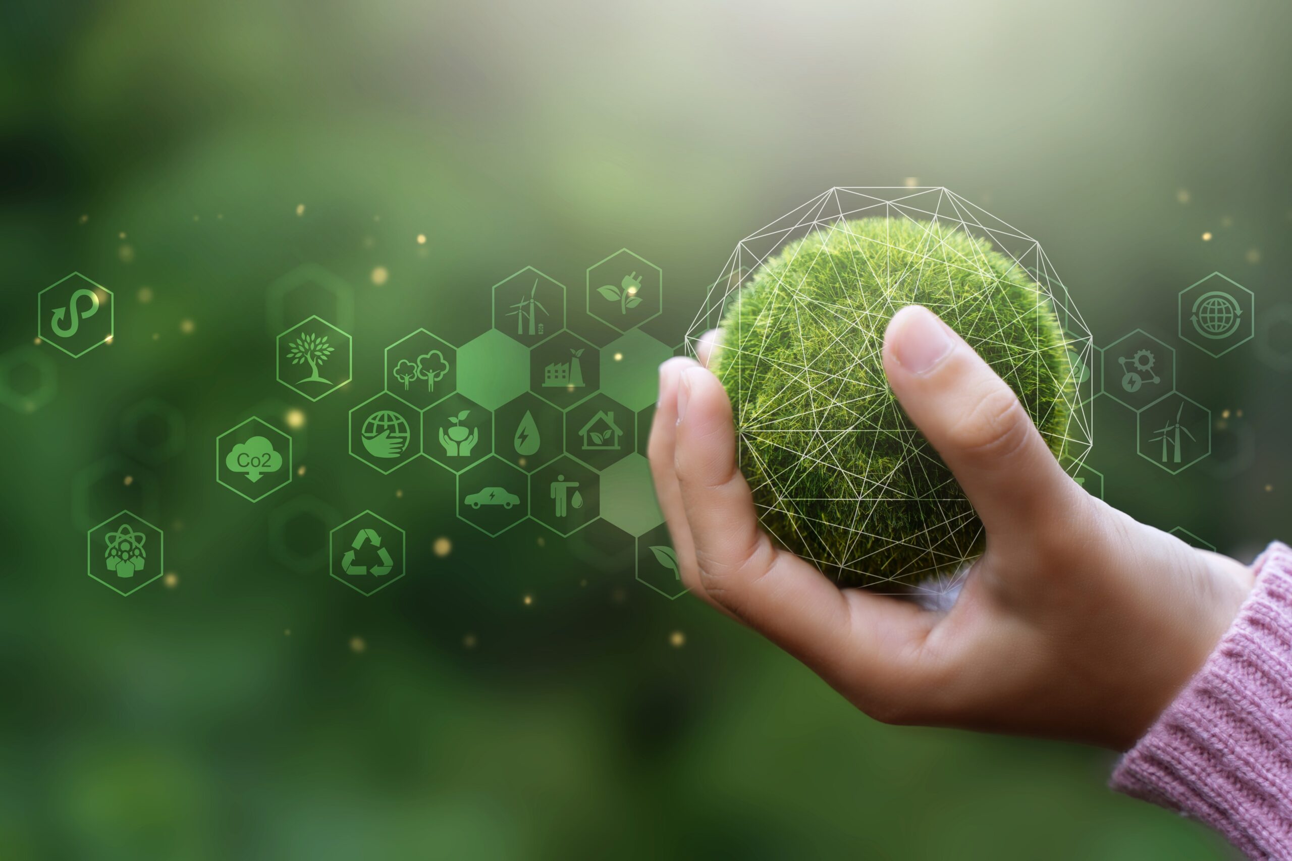 Net zero and carbon neutral concepts.