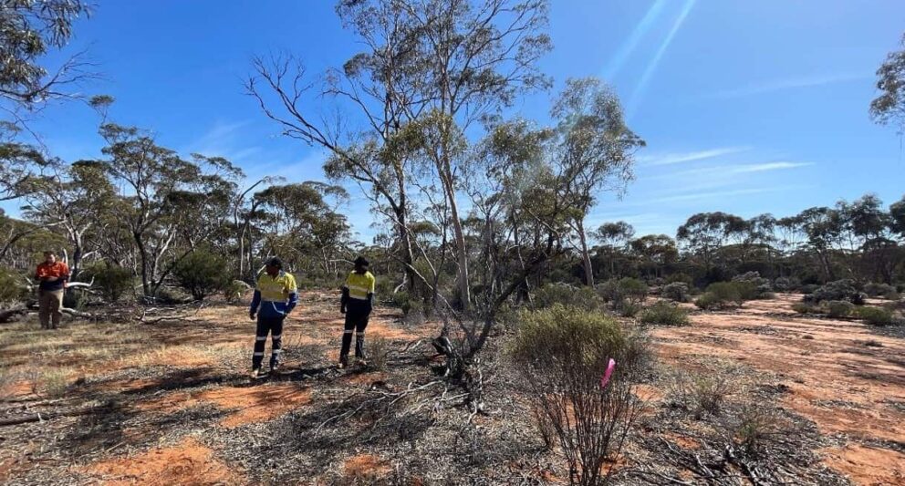 (Image source: Rubix Resources) Native Title Holders inspect the area of a proposed drill hole during the survey.