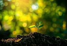 Importance of mine rehabilitation