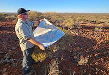Albanese: Landmark $566m drives critical mineral exploration Asra Minerals (ASX: ASR) managing director Rob Longley welcomes Prime Minister Anthony Albanese’s announcement today of a $566m investment into critical minerals exploration.