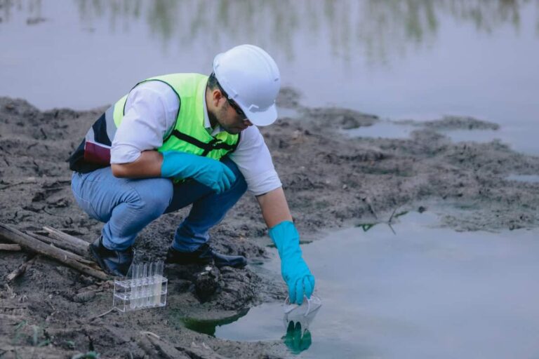The soil surrounding the foreshore had been contaminated with coal tar waste material and heavy metals.