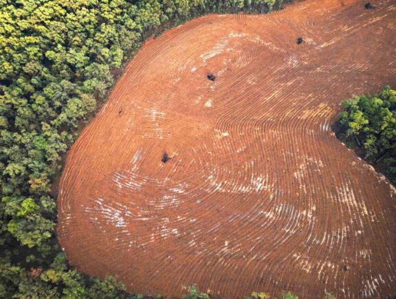 Alcoa’s rehabilitation mosaic_