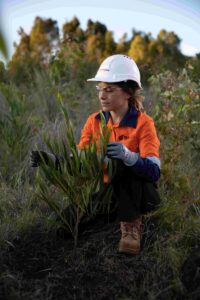 (Image source: Yancoal Australia) Stratford rehabilitation area.