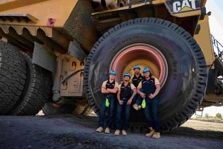 Dolphins at Dawson mine