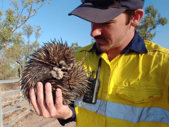 Bravus celebrates award nomination