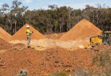 Ecocene’s Ecological Intelligence Platform Uses AI to Transform Mine Site Rehabilitation Ecocene