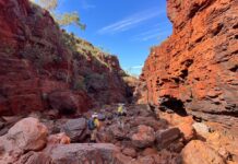 Ecocene – NatureTech Enhanced Ecocene - NatureTech Enhanced