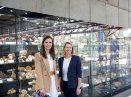 NSW: a high-purity silica hotspot