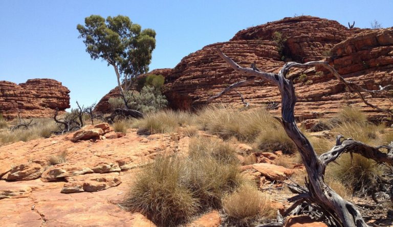 (Image source: Curtin University) Niobium is a metal vital for producing high-strength steel and clean energy technologies.