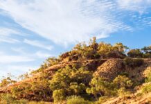 Alcoa doubles no-mining zone The Dwellingup MAZ is currently 8,344ha.