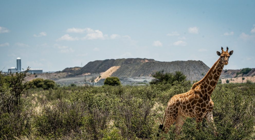 The Australian Mining Review March 2026 Edition