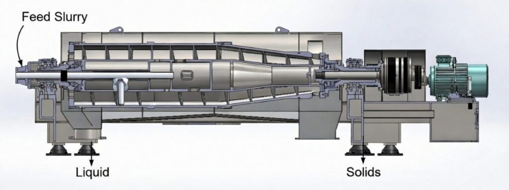 Delta Canter Drawing diagram