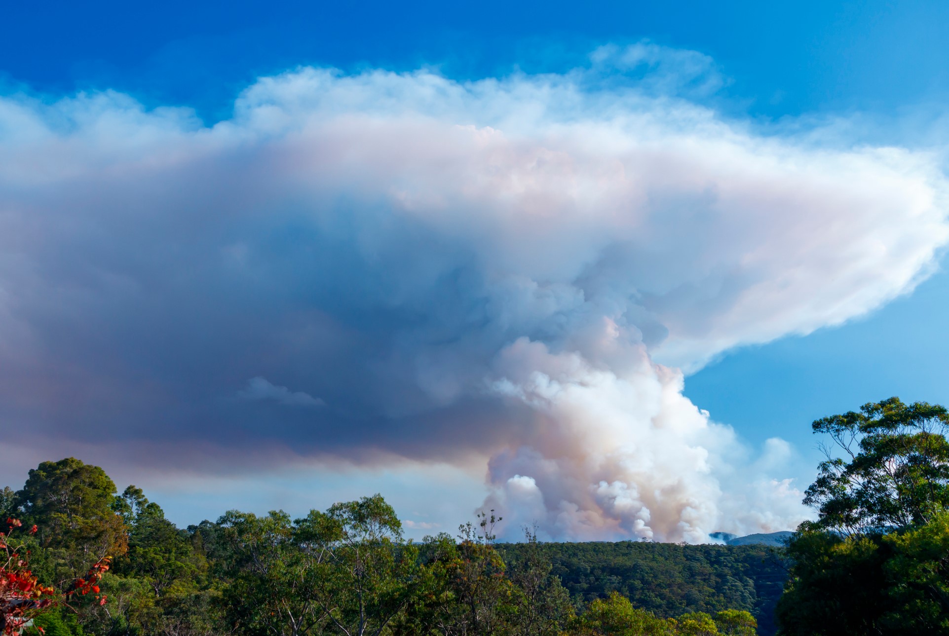 Pyrocumulonimbus and dry lighting ignite more fires