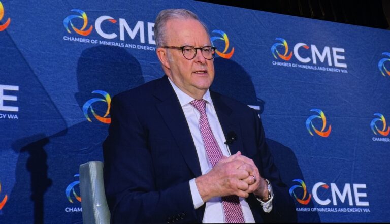 Albanese targets project delays, fuel security in pre-Budget pitch