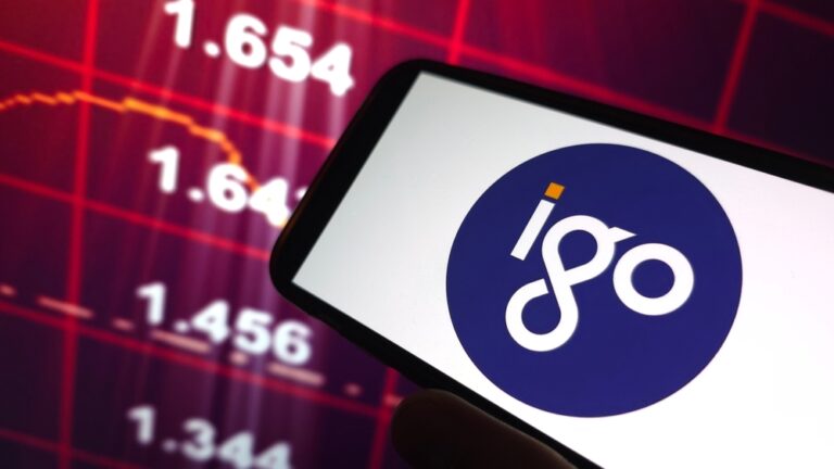 IGO appoints interim chief financial officer