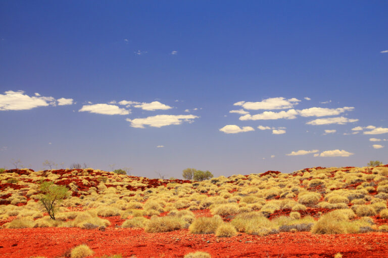 WA Government appeals Yindjibarndi ruling
